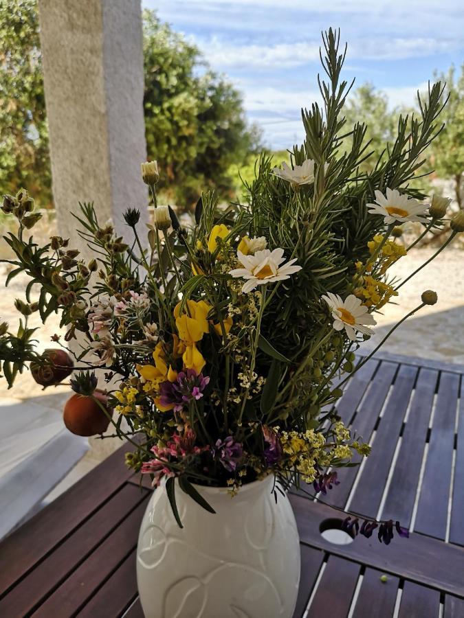 Casa vacanze Bijela Kuca Mali Drvenik
